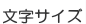 文字サイズ